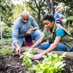 What experts say about taking psilocybin as an alternative treatment for depression